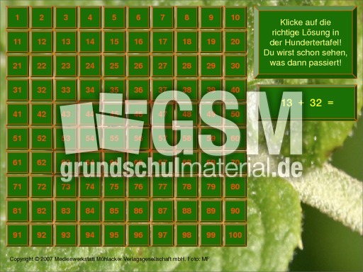 Addition mit Fotopuzzle.pdf